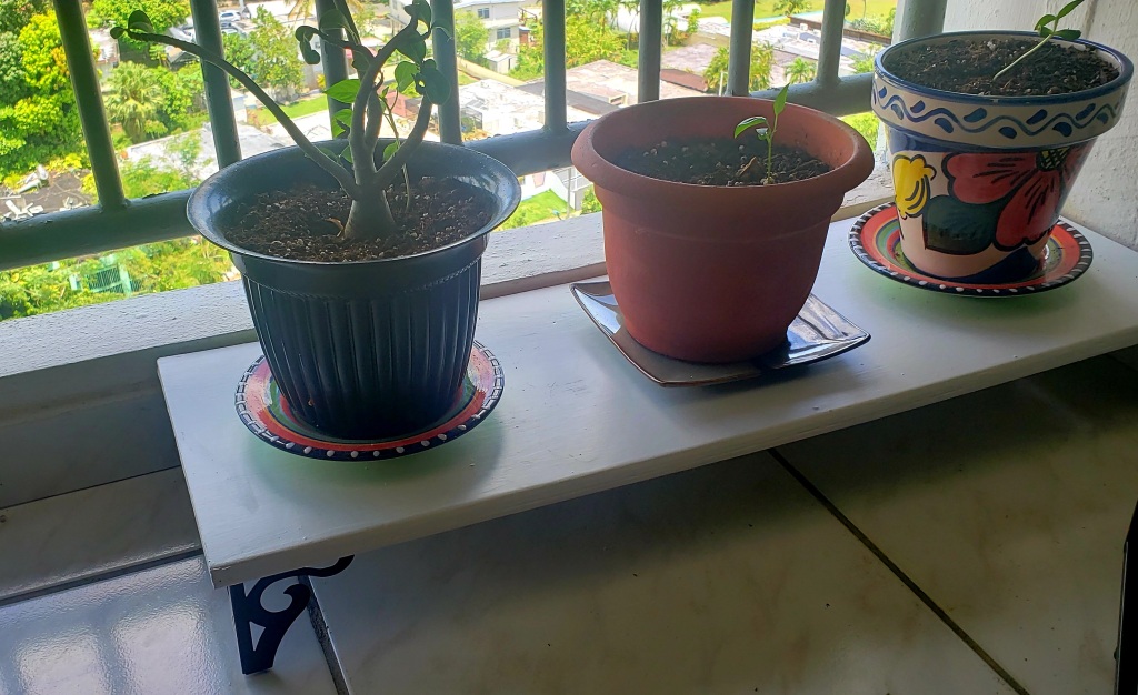 DIY:Up-cycle shelves to plant stands